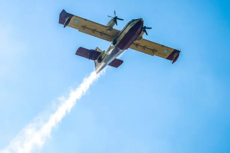 Πυρκαγιά σε χαμηλή βλάστηση στο Πολύκαστρο Κιλκίς – Επιχειρούν δύο αεροσκάφη
